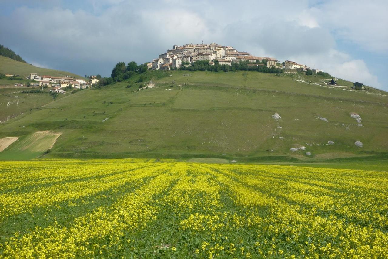 פרוג'ה B&B Il Sognatore מראה חיצוני תמונה